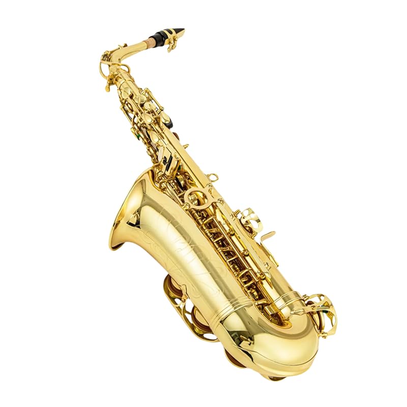 Image of Alto Saxophone E Flat for Adults Students Saxophone Beginner Kit with Mouthpiece Carrying Case Straps 10Reeds
