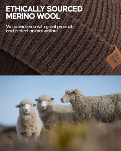 Image of DANISH ENDURANCE Merino Wool Beanie for Men & Women, Warm Knit Winter Hat