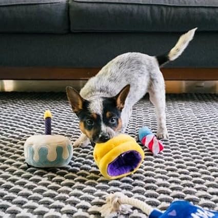 Juguete de Peluche para Perro P.L.A.Y. Cumpleaños, Sonajero Durable - Corona Canina, X-Small miniatura 7