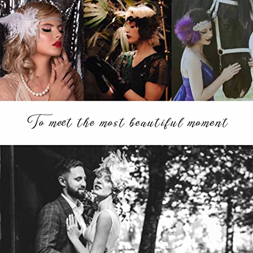 Casdre Vintage White Feather Headband Pearl 1920S Flapper Headpieces Crystal Gatsby Headband 20S Great Gatsby Hair Accessories For Women And Girls #TOP5