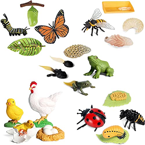 OrgMemory 20pcs Insect Toys Life Cycle of Action Model, Plastic Bug Figurines Toy, Early Educational Toys Science Project Christmas Birthday Gift for Kids (Set A)