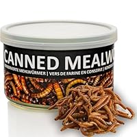 UGF – Saftige Konservierte Mehlwürmer, 35g, Vogelfutter Wildvögel Ganzjährig, Igelfutter, Eichhörnchen Futter, Hamster Futter