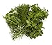 Garden Herb Bundle