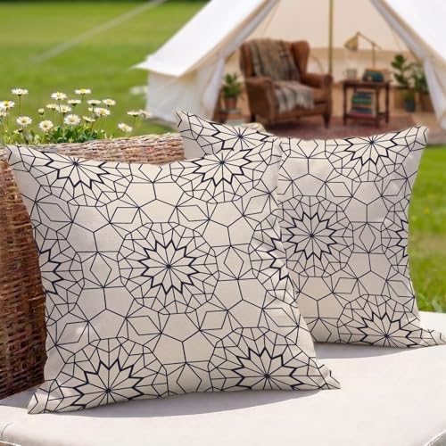 �N�b�V�����J�o�[�{�w�~�A�h�� ���O 2���Z�b�g 30x30 cm ���l�� ���ʈ�� ���� ���O�p �N�b�V���� �P�[�X ���� �O ���p �A�E�g�h�A �L�����v �x�����_ �� �e���X �\�t�@�[�p (�􉽊w) 3Z-327