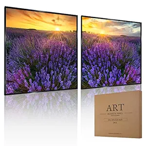 Mollywell Aluminum Framed HD Art Acoustic Panel | Sound Proof Foam Wall Panels | 24 x 24 Inch Sound Dampening Decorative Painting | Soundproof Artwork for Living Room Bedroom,2 Pack Lavender