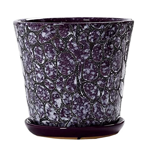 Pot de fleurs en céramique extra large avec drainage pour grand cactus et bonsaï