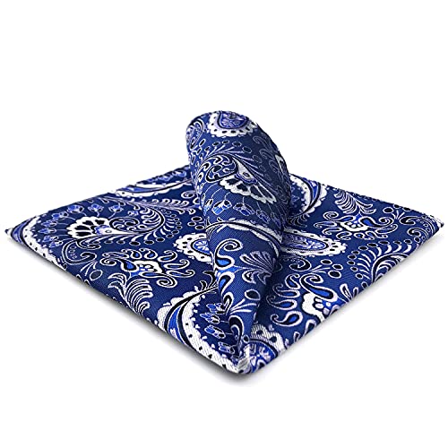 S&W SHLAX&WING Mens Ties Set Lavender Purple Silk Necktie Blue Paisley Matching Pocket Square Only