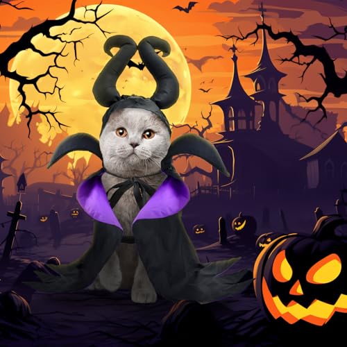 Disfraz de Bruja para Perro y Gato Halloween Talla Única miniatura 6