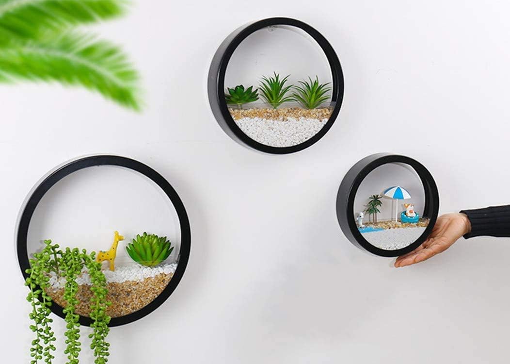 3 Pack Hanging Wall Planters Wall-Mounted Plant Container Modern Round Vase Circle Iron Planter for Herbs Succulent and Cactus, Perfect for Balcony, Room and Patio Decor (Black)