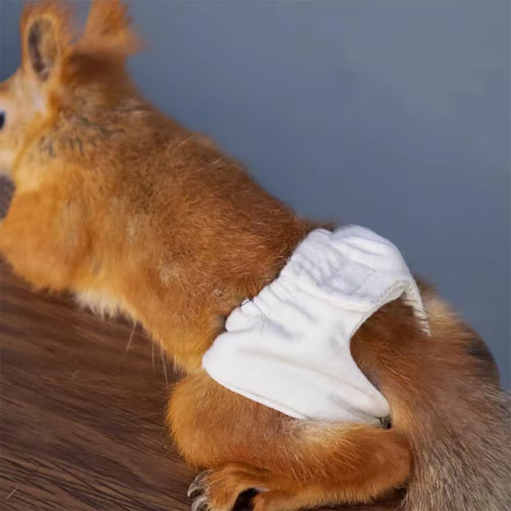 5PCS Small Pet Diapers, Adjustable Sugar Glider Diapers, Reusable, Washable, Specially Designed for Use on Pet Squirrels Guinea Pig (S)