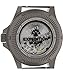 Timex Men's Expedition North Titanium Automatic 41mm Watch - Black Strap Black Dial Titanium Case