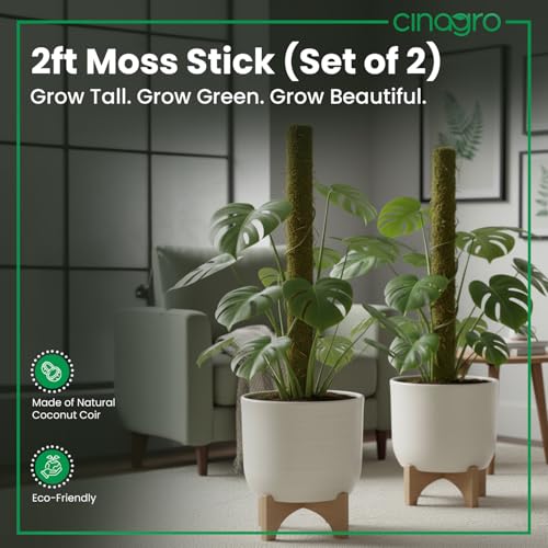 Image of CINAGRO 2ft Natural Coir Moss Stick for Plant Support, Set of 2, Grass Pole | Aesthetic Garden Decor for Climbing Plant, Eco-Friendly, Biodegradable
