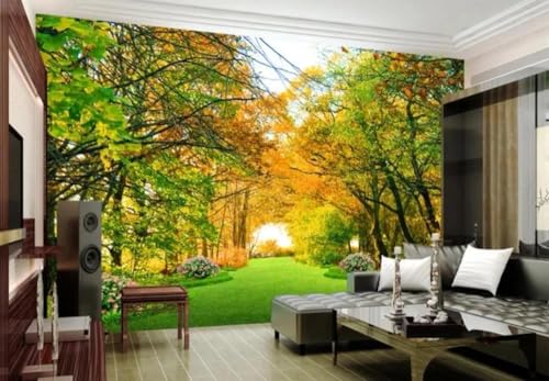 Papier peint 3d paysage forestier pour salon chaleureux