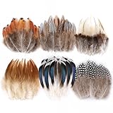Larryhot Natural Pheasant Craft Feathers - 240 pcs 6 Style Mixed Feathers for Dream Catcher Supplies,Jewelry,Hats and Jewelry Accessories (Natural)