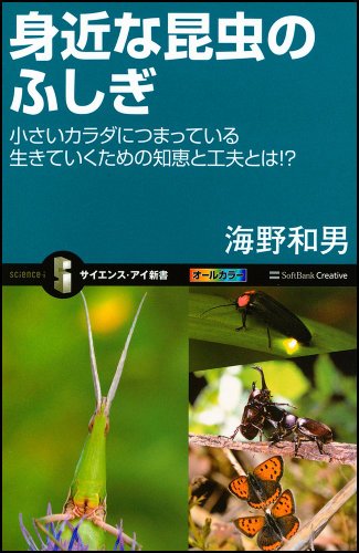 身近な昆虫のふしぎ 小さいカラダにつまっている生きていくための知恵と工夫とは!? (サイエンス・アイ新書)