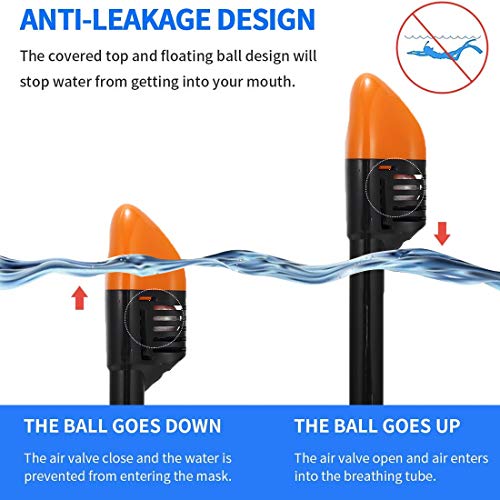 image for Thirty seven DAYS Full Face Snorkel Mask, Snorkeling Mask with Detacha