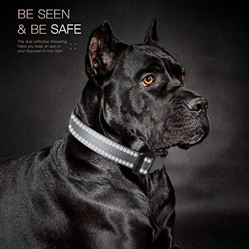 HEELE Hundehalsband, weich gepolstertes Neopren Nylon Hunde Halsband für kleine mittlere große Hunde und Welpen, verstellbare und reflektierende Halsband Hund für Training, Grau, M