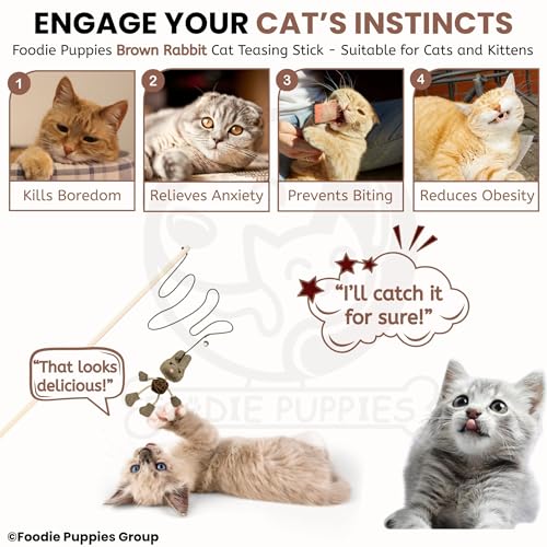 Image of Foodie Puppies Interactive Wooden Teaser Stick with Funny Animal Attachments - (Brown Rabbit) | Suitable for Cats and Kittens | Indoor and Outdoor, Play & Exercise (Size: 40cm)