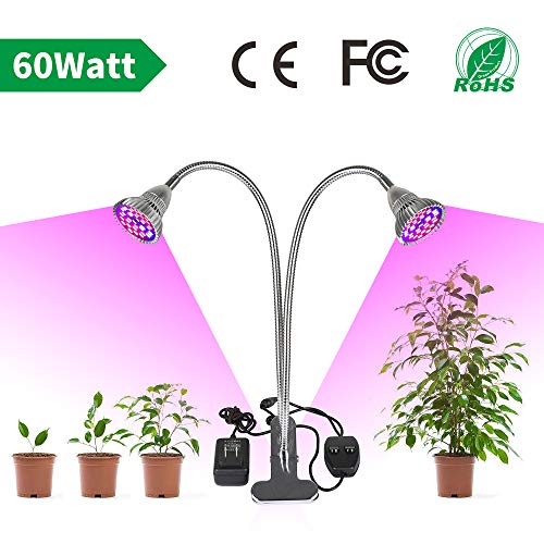Best Lvjing Light Bulbs