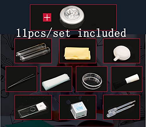 100 vetrini for microscopio e 100 vetrini coprioggetto for la Preparazione dei Campioni Vetrini for microscopio in Vetro Lancetta coprioggetto (Color : 11pcs Specimen Tools)