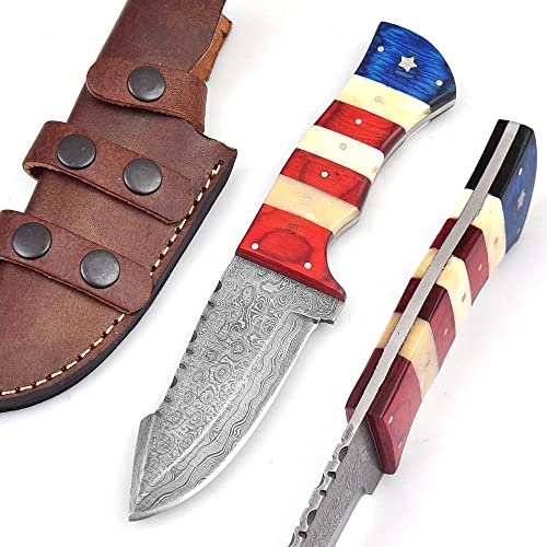 Top 10 Fixed Blade Skinning Knife of 2022 Katynel