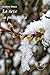 La Neve In Primavera - 3