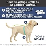 Spark Paws Strickpullover für Hunde – Weicher, Warmer Winterpullover für kleine, mittelgroße und große Hunde – Pullover für Französische Bulldoggen, Pitbulls, Hündinnen und Rüden, (Pine Green,3XL)