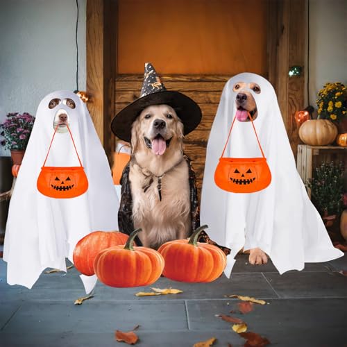 Disfraz Halloween Fantasma con Cubo Calabaza para Perro miniatura 4