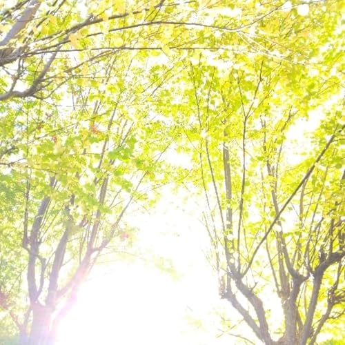 『まきこのコンテンツ設計ラボ』のカバーアート