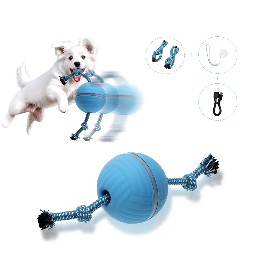 Balle électrique pour chien interactive qui bouge seule contre l'ennui