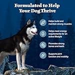 Blue Buffalo Wilderness Natural High-Protein Dry Food for Adult Dogs, Chicken Recipe, 24-lb. Bag - Image 4