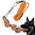 Spring Pole Dog Rope Toys, Interactive Dog Tug Toy with Dog Rope Toys and a Big Spring Pole Kit, for Small to Large Dogs, for Tug of War, Bite Training, Pull Exercise, Outdoor Hanging Exercise
