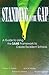 Standing in the Gap: A Guide to Using the SAME Framework to Create Excellent Schools