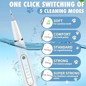 Plaque Remover for Teeth Dog Teeth Cleaning Kit for Tartar Stains Removal Electric Pet Ultrasonic Tooth Cleaner with Led Light Finger Toothbrush Dental Care for Dog Cat 5 Modes white  Cucciolini Doodles Plaque remover for teeth dog teeth cleaning kit for tartar stains removal electric pet ultrasonic tooth cleaner with led light finger toothbrush dental care for dog cat 5 modes white   cucciolini doodles