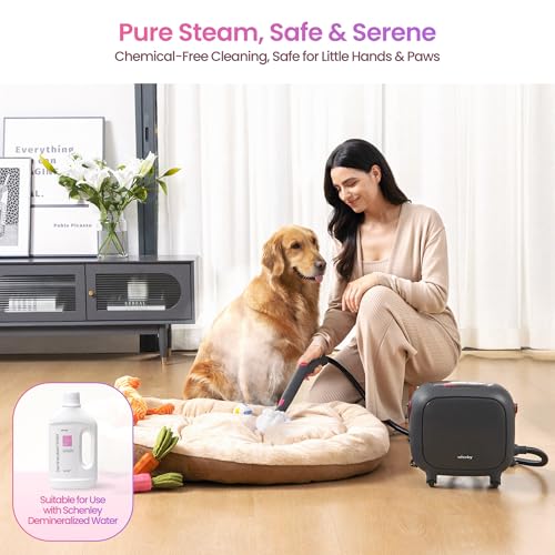 commercial pressure steam cleaner System product image
