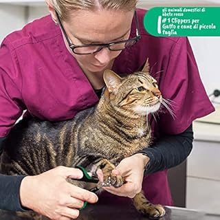 Candure Tagliaunghie Gatto Professionale Tagliaunghie Coniglio Acciaio Inossidabile- Unghie Gatto Fresa per Cavie, Uccelli, Cuccioli, Gattini e Cani Piccoli Animali
