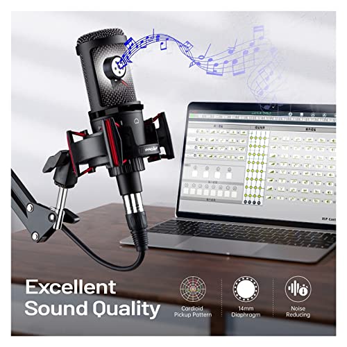 Microphone de studio XLR cardioïde filaire avec stand de table stable - 6