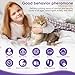 Cat Calming Pheromone Diffuser Kit, 2 Plug-Ins + 4 Refills (48ml Each), Long-Lasting Stress & Anxiety Relief, Reduces Fighting, Spraying & Scratching, Safe & Drug-Free Comfort for All Cats and Kittens