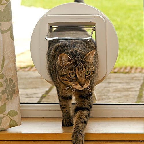 cat flap cape town