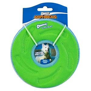 Chuckit! Zipflight Flying Disc Dog Toy, Small (6"), Orange And Blue Chuckit Zipflight Flying Disc Dog Toy Small 6 Orange And Blue