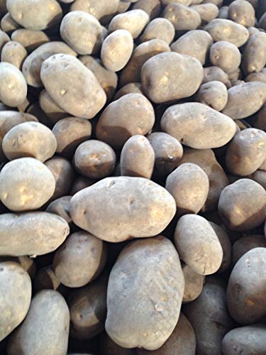 Xc_ kCY y炿 疡̂邶Ⴊ ₩AzbJCRKl2iHה׃Zbg7kg