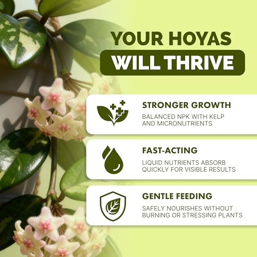 Hoya Fertilizante Líquido para Plantas 8 oz miniatura 2