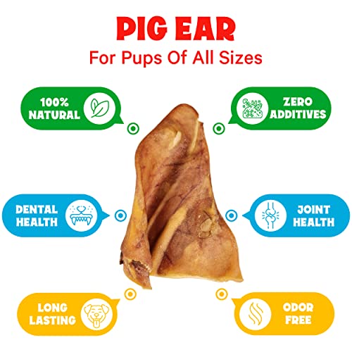 Fetcheroni Pig Ears For Dogs – 6 Piece Count Dog Chew Treats With Natural Pork Meat – Non-Gmo Dog Snacks For Training, Traveling, Home – Delicious Flavor – Great For Teeth And Gums #TOP4