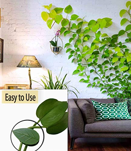 Lasyman 80Pcs Plant Climbing Wall Fixture Clips-Plant Clips-Pothos Clips-Vine Plant Wall Clips- Self-Adhesive Plant Fixing Hook For Plant Garden Wall Clip,Sticky Plant Fixing Clip For Decoration #TOP2