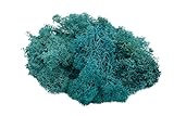 Reindeer Moss Preserved | Turquoise Moss | for Fairy Gardens, Terrariums, or Any Craft or Floral Project | (2 Ounces) | Plus Free Nautical Ebook by Joseph Rains