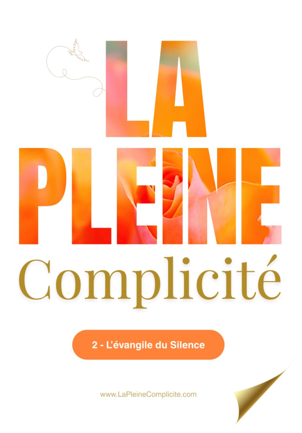 La Pleine Complicité: 2 - L'évangile du Silence