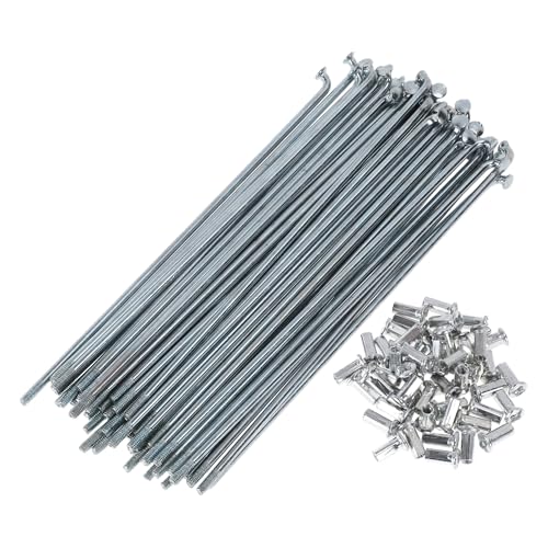 PARSLUCK 48 Set 10G Bicycle Spokes 155mm Bike Wheel Spokes Carbon Steel Galvanized Silver Tone