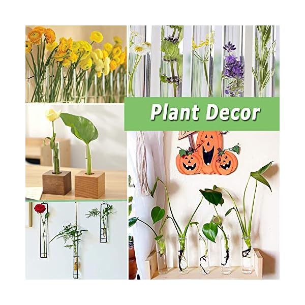 18-PCS-115ml-Clear-Plastic-Test-Tubes150-x-33mm-Flat-Test-TubePlastic-Test-Tube-with-Screw-Caps-and-1-Cleaning-Brush-for-Bath-SaltCandy-StorageScience-Party-FavorsWedding-Decor 18-PCS-115ml-Clear-Plastic-Test-Tubes150-x-33mm-Flat-Test-TubePlastic-Test-Tube-with-Screw-Caps-and-1-Cleaning-Brush-for-Bath-SaltCandy-StorageScience-Party-FavorsWedding-Decor