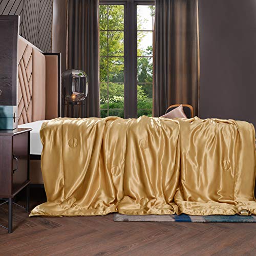 THXSILK Kuscheldecke Seide Sofa Decken Gold - Kleine Seidendecke für Couch weich und warm, Innen und außen 100% Seide Wohndecke Flauschig als...