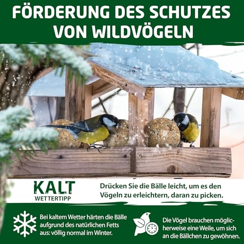 Eggersmann volaris Meisenknödel ohne Netz mit Insekten 200 Stück [Protein] 18 kg | Körnerkugel für Wildvögel | Nährstoffreiches Ganzahresfutter für alle Vogelarten | Vogelfutter Wildvögel ganzjährig